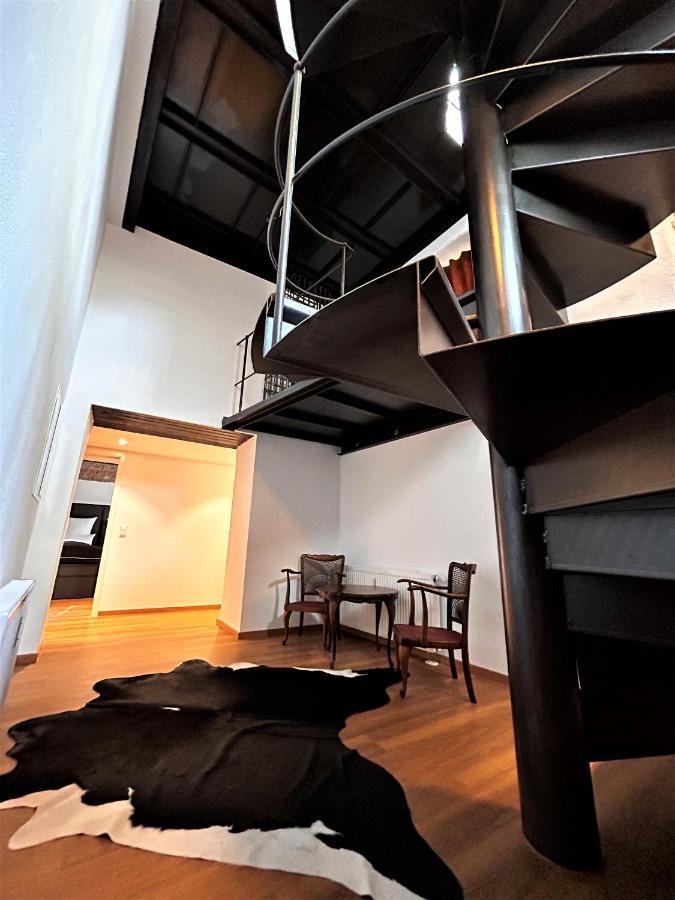 Historical Luxury Homes - Luxus Familien Suite フライブルク エクステリア 写真